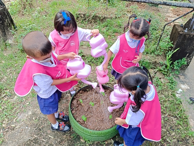 กิจกรรม "หนูน้อยปลูกผักสวนครัว "  สู่ความเจริญงอกงามในวันนนี้