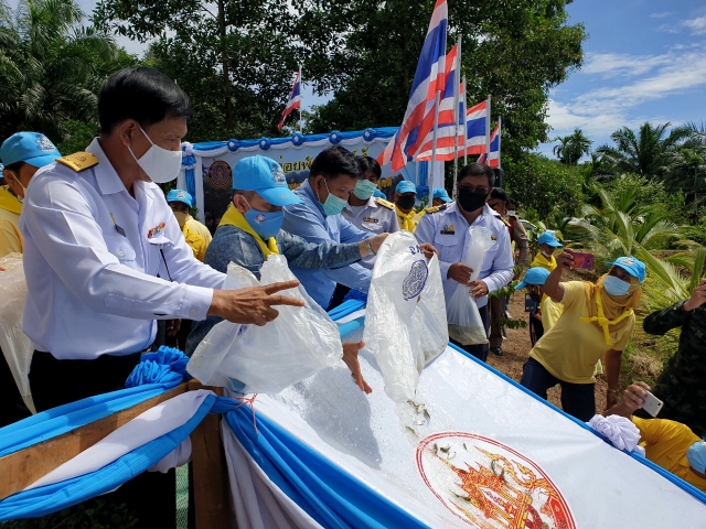 พิธี ปล่อยปลา ในวันประมงแห่งชาติ 2563
